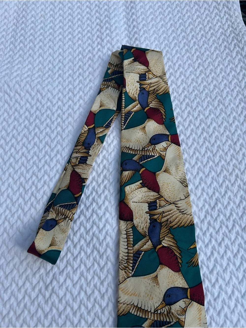 Men's Green Duck-Print Silk Tie